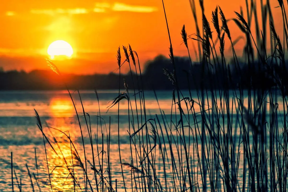 Camping in Brandenburg: Ontspanning & Recreatie in de Natuur