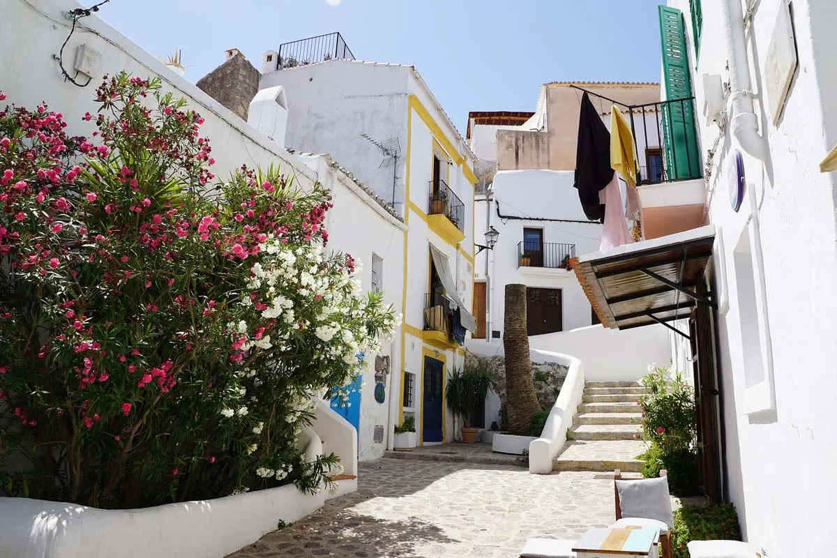 Beste Social Club Ibiza! Cannabis & Cappuccino in GROENtime Ibiza: 7 eilandtips
