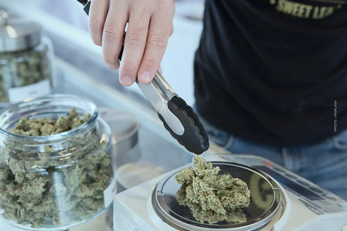 Cannabis op recept: Koop wiet & gras met een "cannabisrecept" van uw arts (medisch)