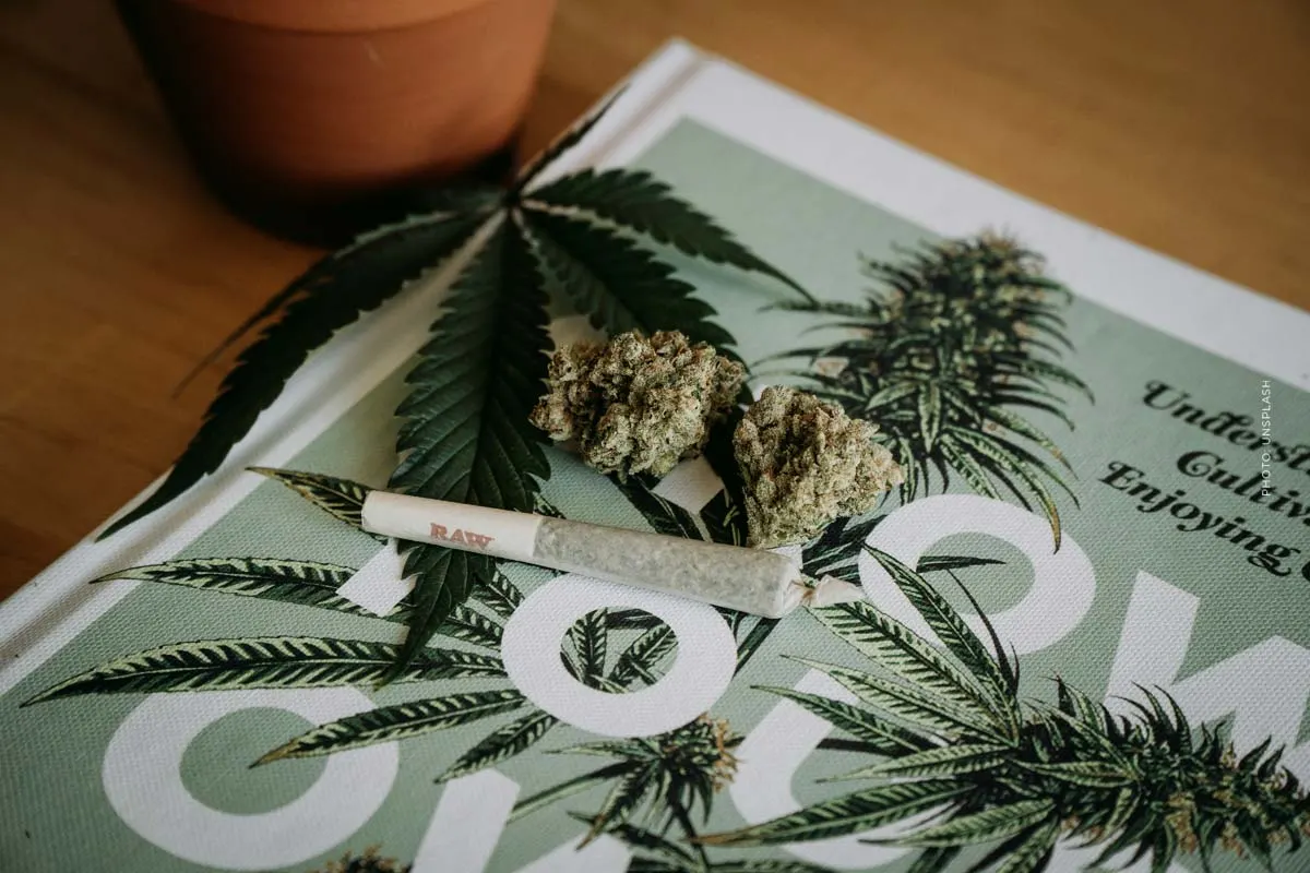Telekliniek vergelijking: beste cannabis aanbieders 2025