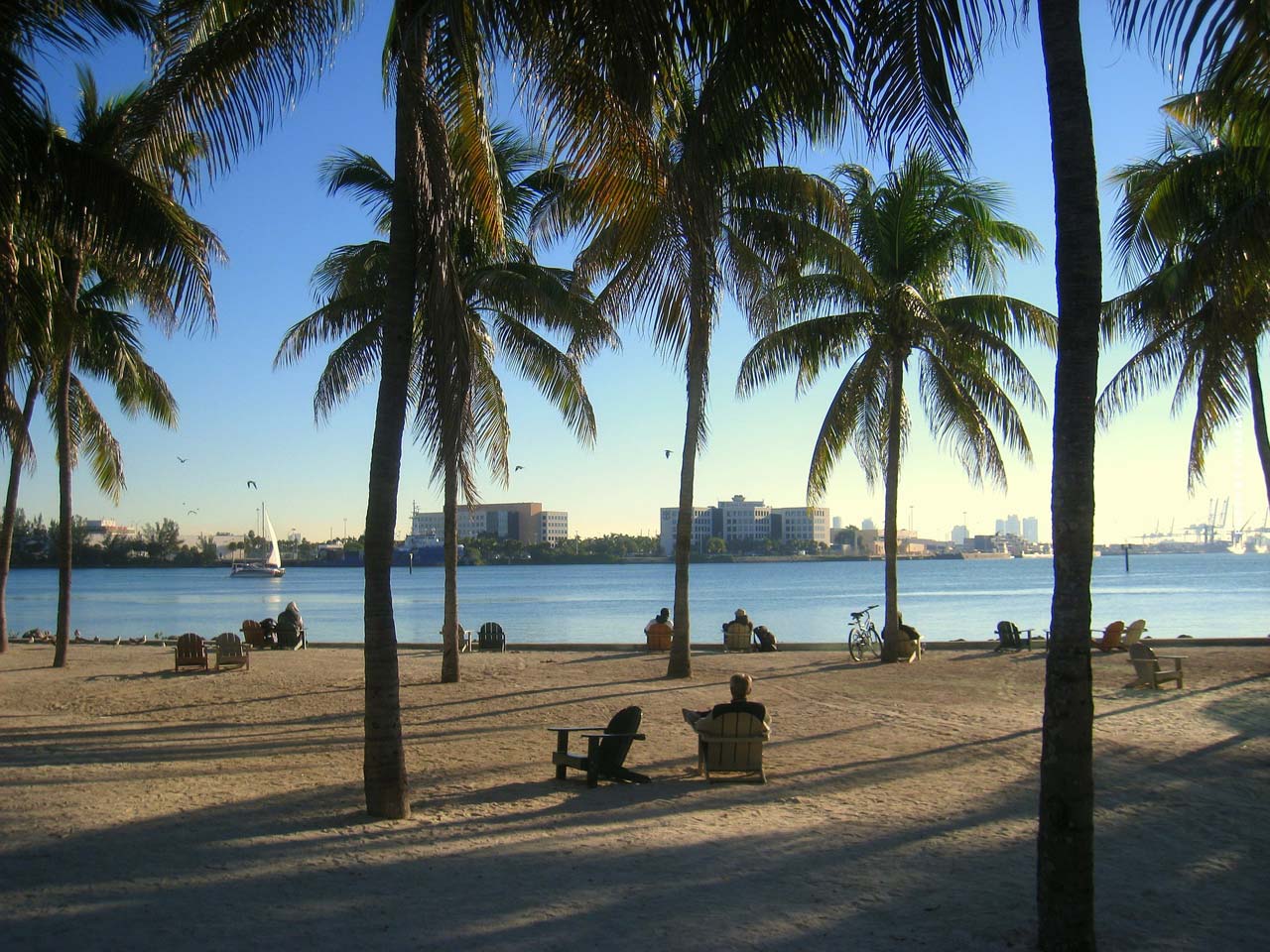 palmen-strand-beach-miami-urlaub-reisen-empfehlung-hotel-camping-flug-wetter-tipps